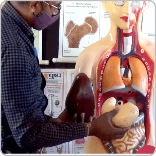 Teacher Training Programme Image 2