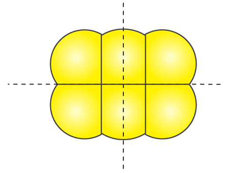 NCERT Solutions for Class 6 Maths Chapter 13 Exercise 13.3 - 6