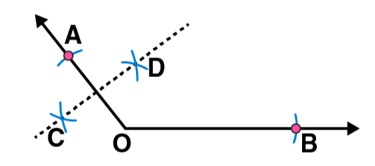 NCERT Solutions for Class 6 Maths Chapter 14 Exercise 14.5 - 91