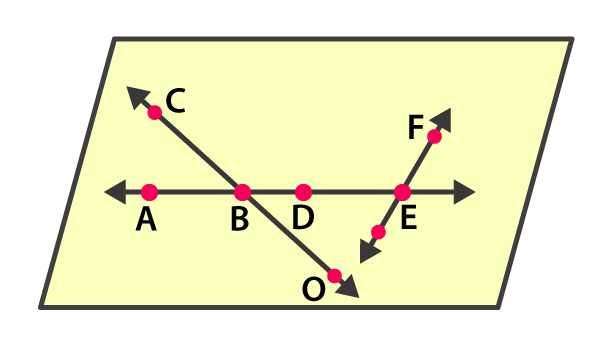 NCERT Solutions for Class 6 Maths Chapter 4 Exercise 4.1 - 25