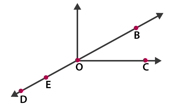 NCERT Solutions for Class 6 Maths Chapter 4 Exercise 4.1 - 1