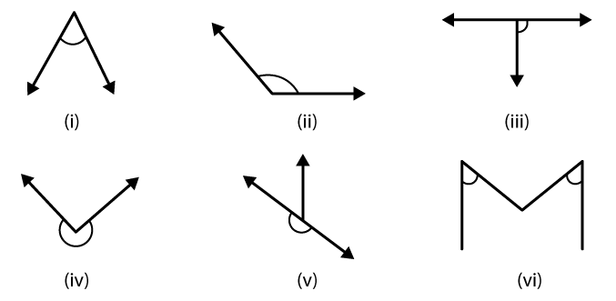 NCERT Solutions for Class 6 Maths Chapter 5 Exercise 5.3 - 1