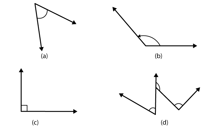 NCERT Solutions for Class 6 Maths Chapter 5 Exercise 5.4 - 1