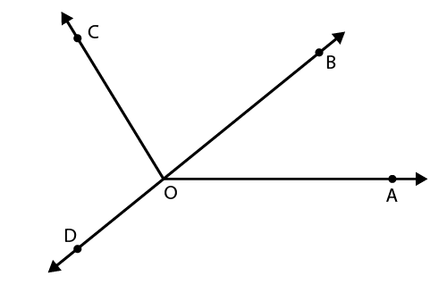 NCERT Solutions for Class 6 Maths Chapter 5 Exercise 5.4 - 7