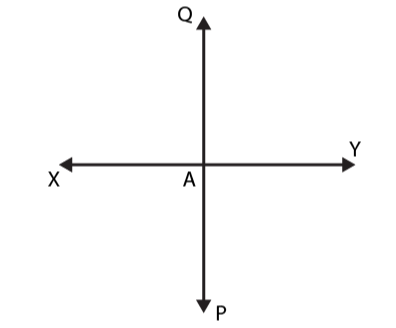 NCERT Solutions for Class 6 Maths Chapter 5 Exercise 5.5 - 5