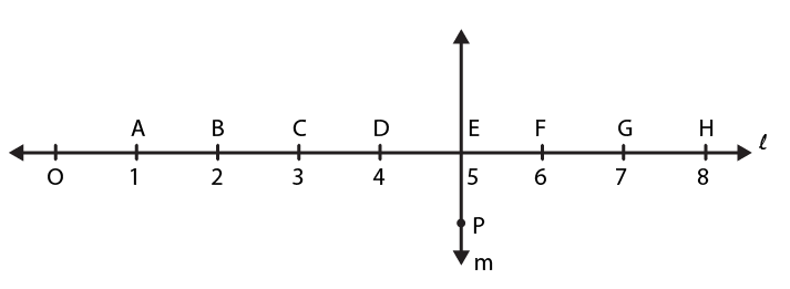 NCERT Solutions for Class 6 Maths Chapter 5 Exercise 5.5 - 6