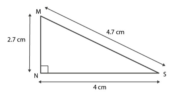 NCERT Solutions for Class 6 Maths Chapter 5 Exercise 5.1 - 12