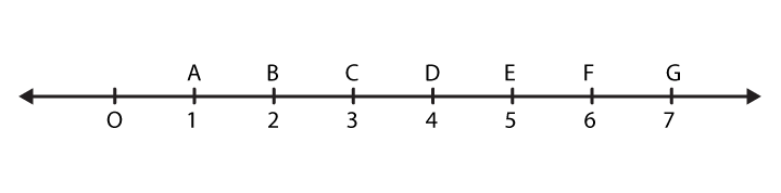 NCERT Solutions for Class 6 Maths Chapter 5 Exercise 5.1 - 4