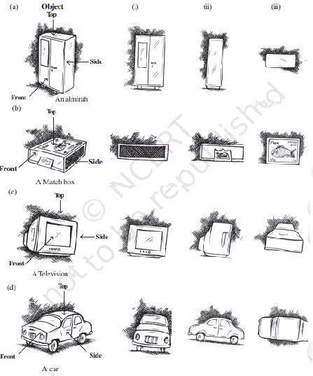 NCERT Solutions for Class 8 Maths Chapter 10 - 2