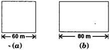 Ncert solution class 8 chapter 11-1