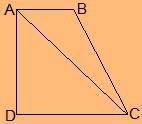 NCERT Solution For Class 8 Maths Chapter 3 Image 5