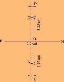 NCERT Solution For Class 8 Maths Chapter 4 Image 27