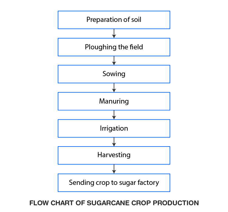 NCERT Solutions For Class 8 Science Chapter 1-sol-2