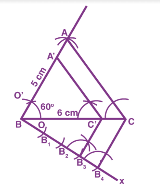 Ncert solutions class 10 Chapter 11-6