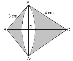 Ncert solutions class 10 chapter 13-32