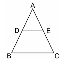 Ncert solutions class 10 chapter 6-10