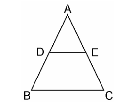 Ncert solutions class 10 chapter 6-11