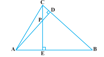 Ncert solutions class 10 chapter 6-17