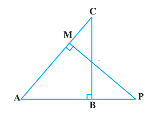 Ncert solutions class 10 chapter 6-19