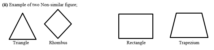 Ncert solutions class 10 chapter 6-2