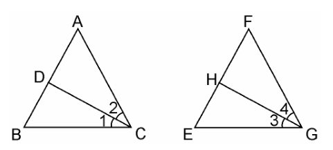 Ncert solutions class 10 chapter 6-20