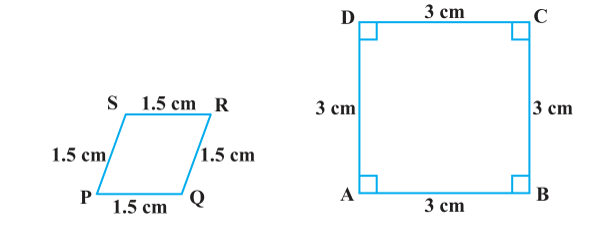 Ncert solutions class 10 chapter 6-3