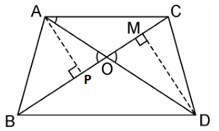 Ncert solutions class 10 chapter 6-31