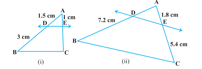 Ncert solutions class 10 chapter 6-4