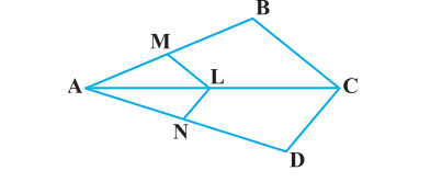 Ncert solutions class 10 chapter 6-6