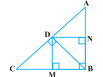 Ncert solutions class 10 chapter 6-65