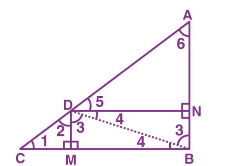 Ncert solutions class 10 chapter 6-66