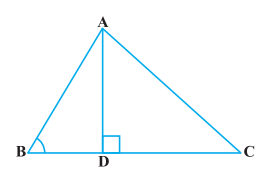 Ncert solutions class 10 chapter 6-68