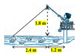 Ncert solutions class 10 chapter 6-75