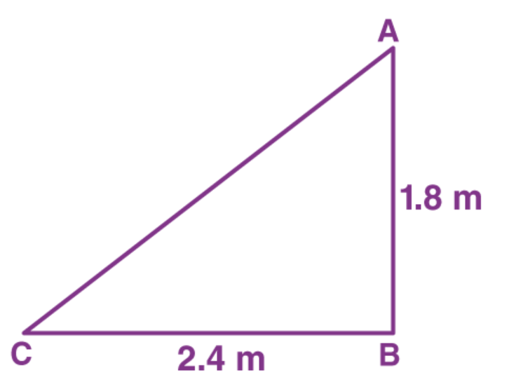 Ncert solutions class 10 chapter 6-76