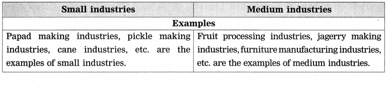 Maharashtra Board Class 8 Geography Solutions Chapter 8 Industries 6