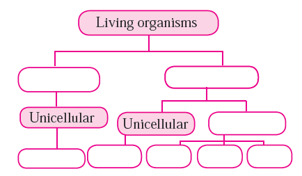 Structure of living organisms - 1