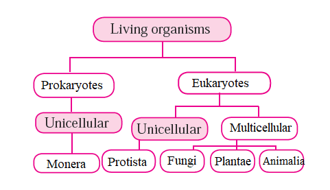 Structure of living organisms - 2