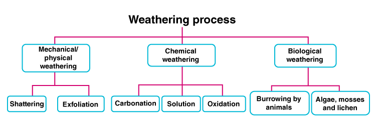 MSBSHSE Class 9 Social Science Geography Chapter 3 - 1