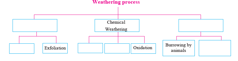 MSBSHSE Class 9 Social Science Geography Chapter 3-3